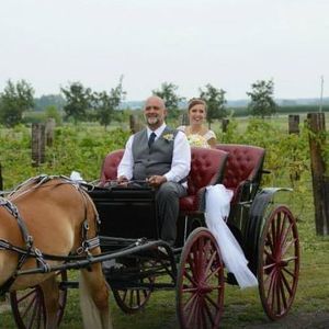 Meet your Posher, Ally